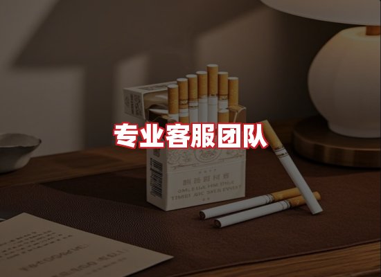 专业团队